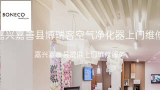 博瑞客