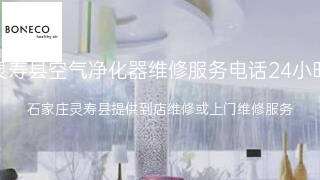 博瑞客