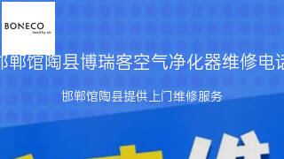 博瑞客