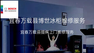 博世