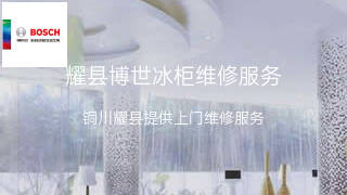 博世