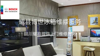 博世