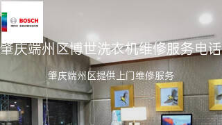 博世