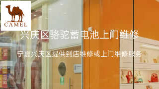 骆驼