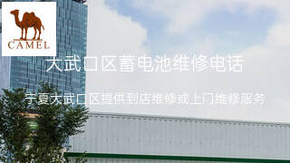 骆驼