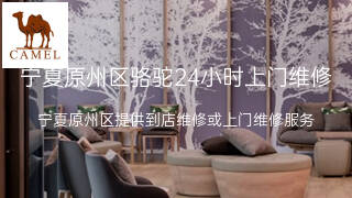 骆驼