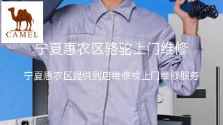 骆驼