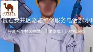 骆驼