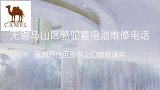 骆驼