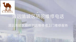 骆驼