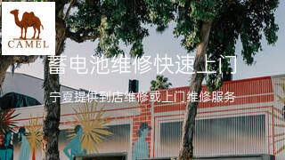 骆驼