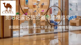 骆驼