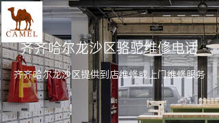 骆驼
