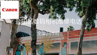 佳能
