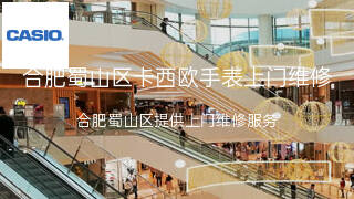 卡西欧