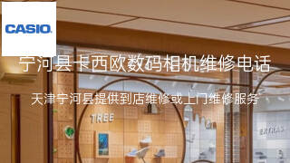 卡西欧
