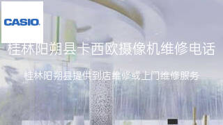 卡西欧