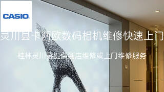 卡西欧