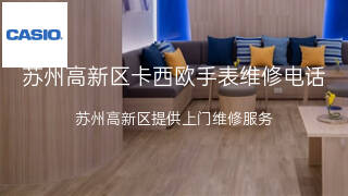 卡西欧
