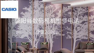 卡西欧