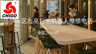 志高