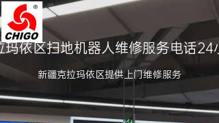 志高