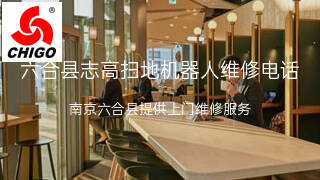 志高