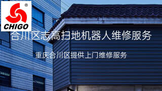 志高