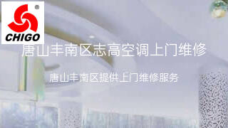 志高