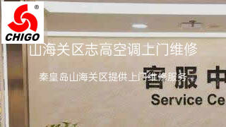 志高