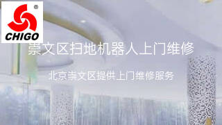 志高