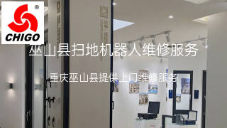 志高