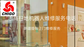 志高