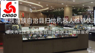 志高