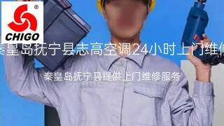 志高