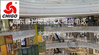 志高