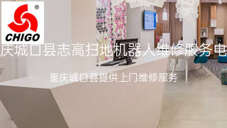 志高