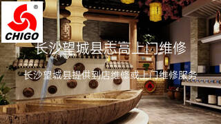 志高