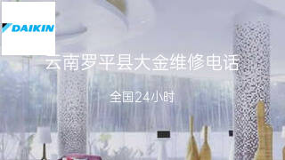 大金