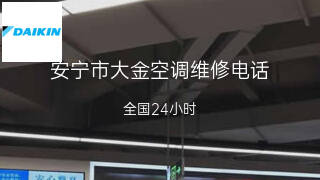 大金