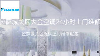 大金