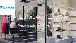 大金