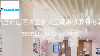 大金