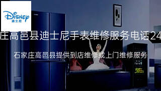 迪士尼