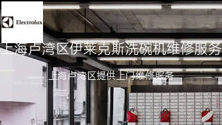 伊莱克斯
