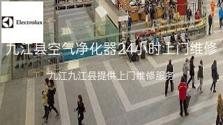 伊莱克斯