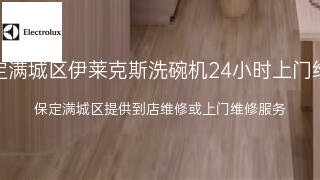 伊莱克斯