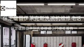伊莱克斯