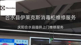 伊莱克斯