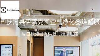 伊莱克斯